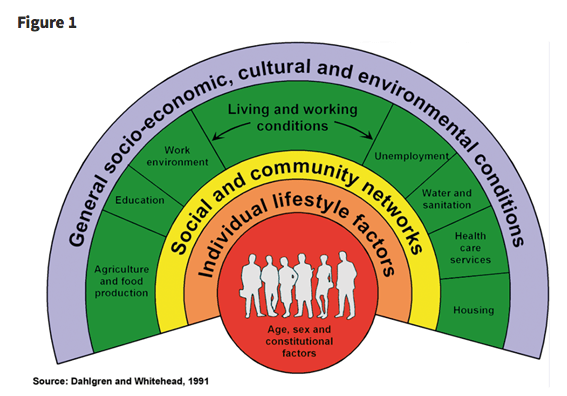 Screen Shot 2017-02-27 at 9.16.34 PM.png